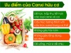 BẠN CẦN BIẾT VỀ CANXI HỮU CƠ