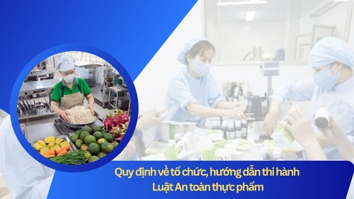 Nghị định số 46/2026/NĐ-CP của Chính phủ: Quy định chi tiết thi hành một số điều và biện pháp để tổ chức, hướng dẫn thi hành Luật An toàn thực phẩm