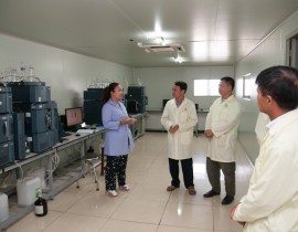 NFSI-Cty-Thien-An-7.jpg